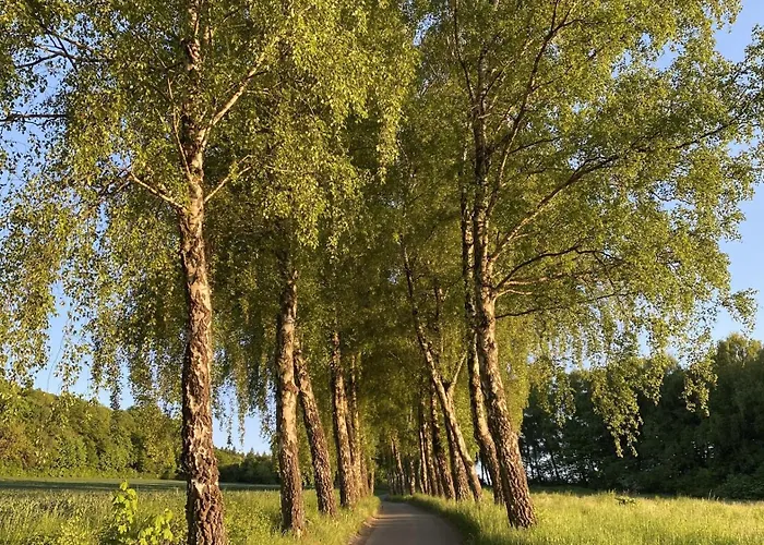 7 Vakantiehuis Nieheim